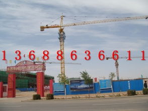 QTZ63塔吊 性能特點(diǎn)與市場(chǎng)供應(yīng)分析